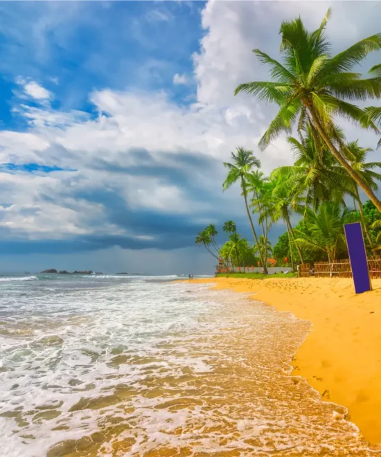 Beach Rest Holiday