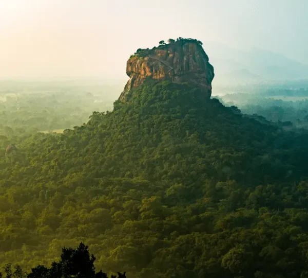 Lion rock