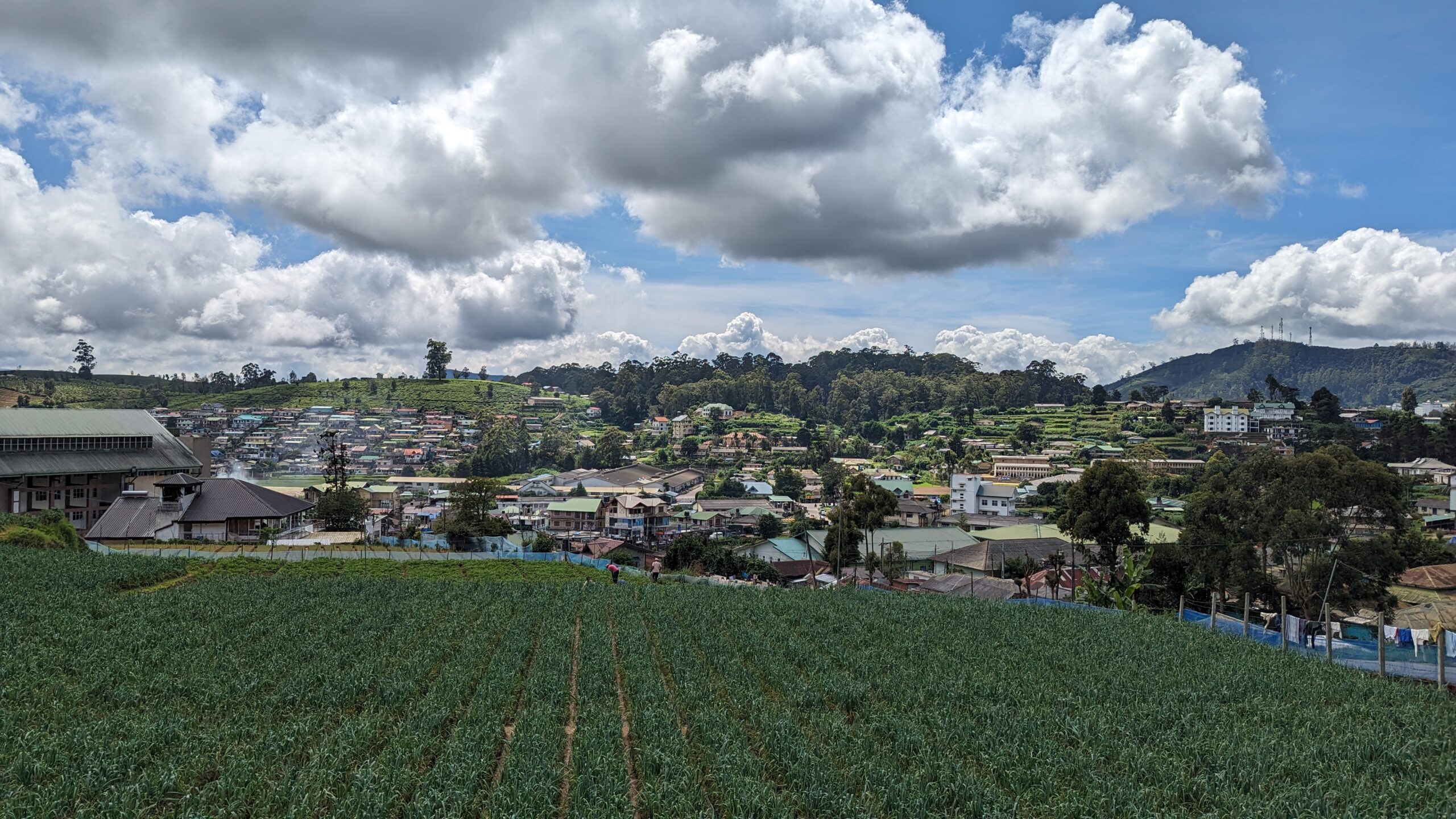 Nuwara Eliya