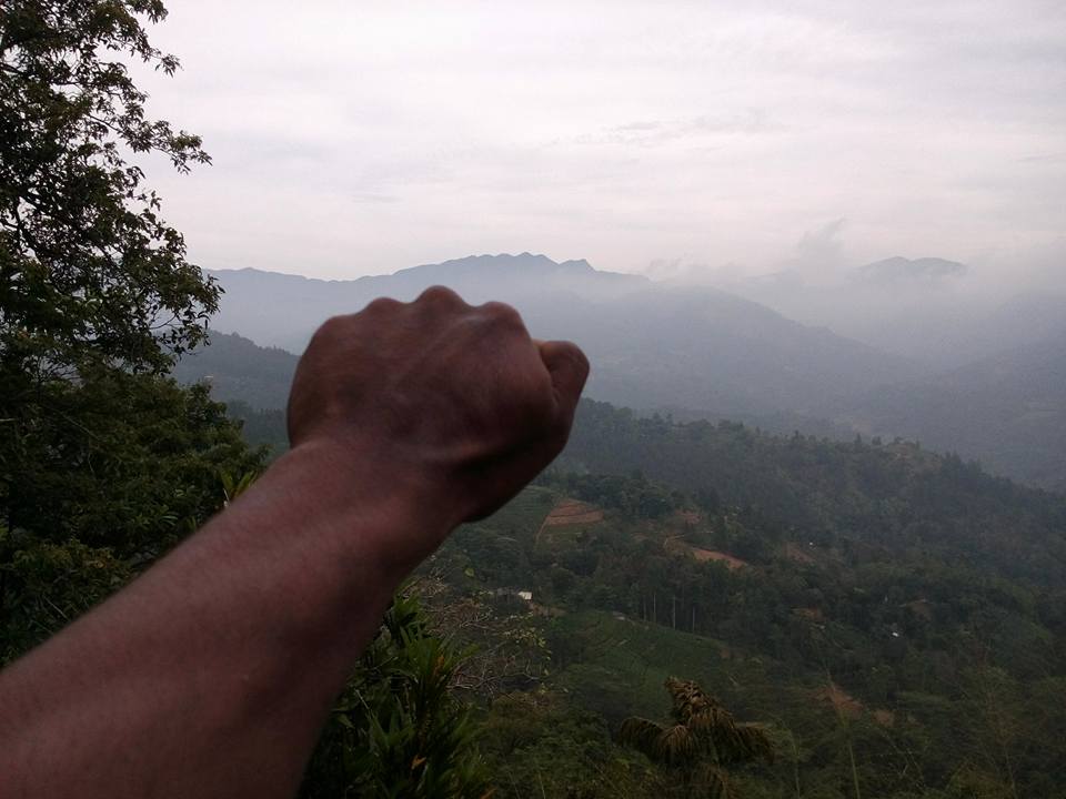 Knuckles Mountain Range