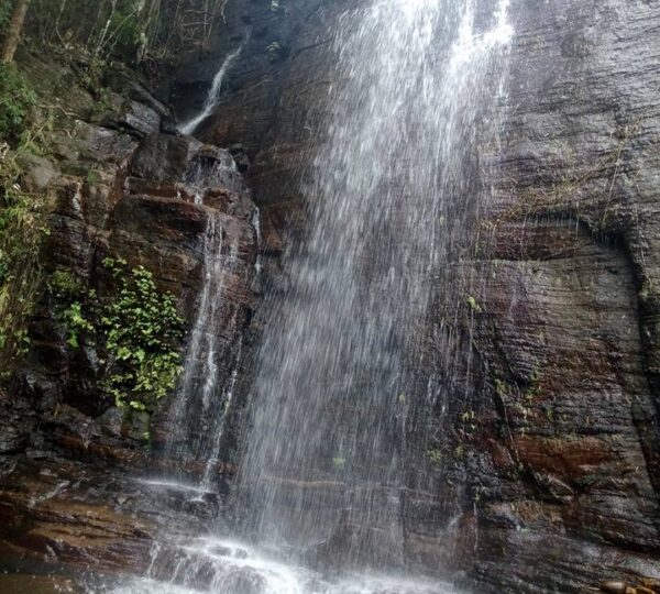 Knuckles Mountain Range