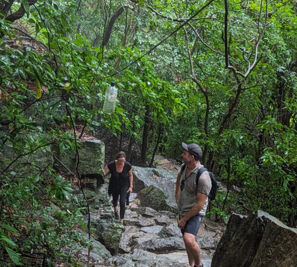 Pidurangala rock hike
