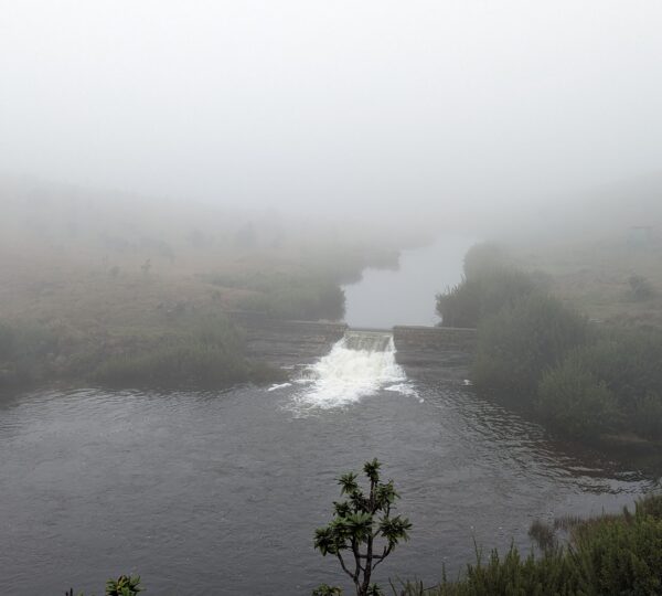 Horton Plains NP