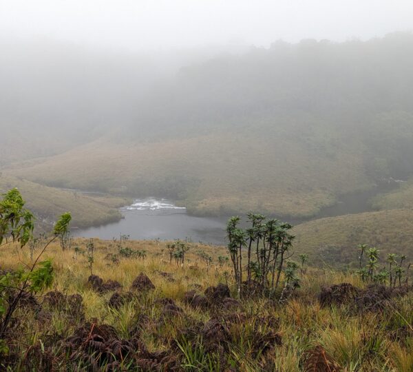 Horton Plains NP