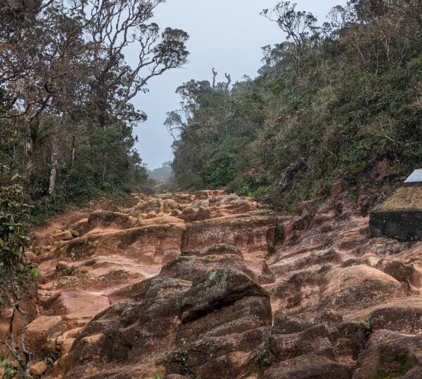 Horton Plains NP
