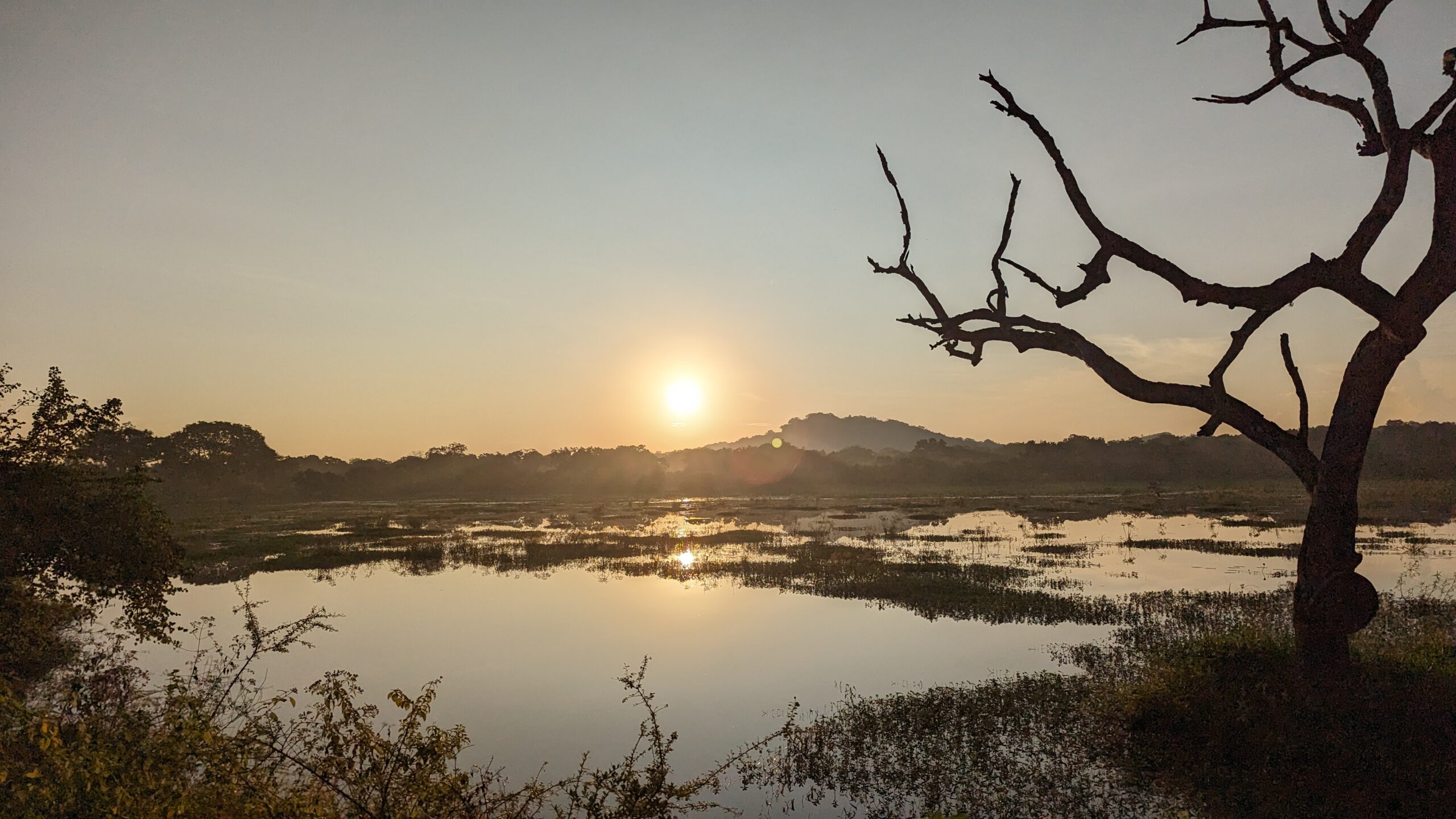 Wilpattu National Park: The Land of Lakes