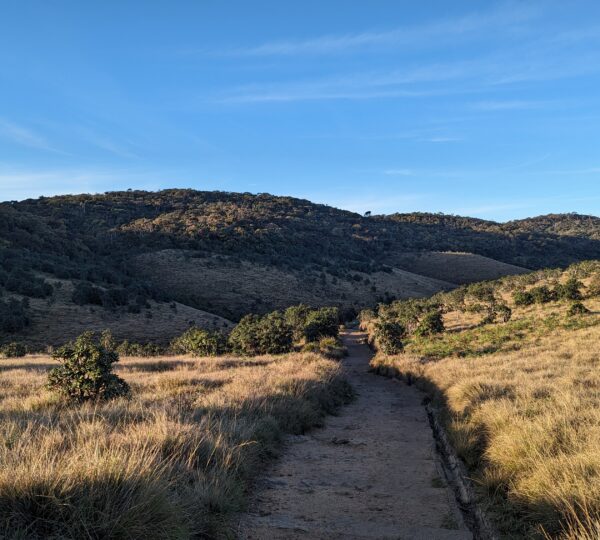 Horton Plains NP