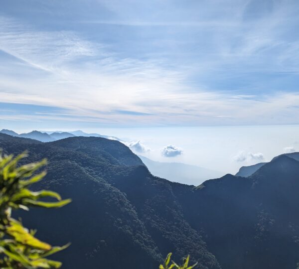 Horton Plains NP