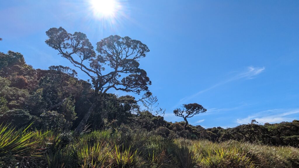 Horton plains NP