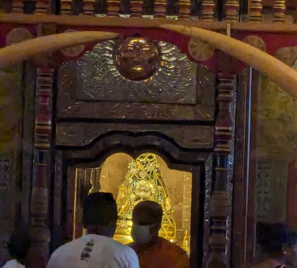 Scared Tooth Relic