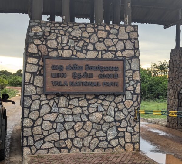 Yala National park