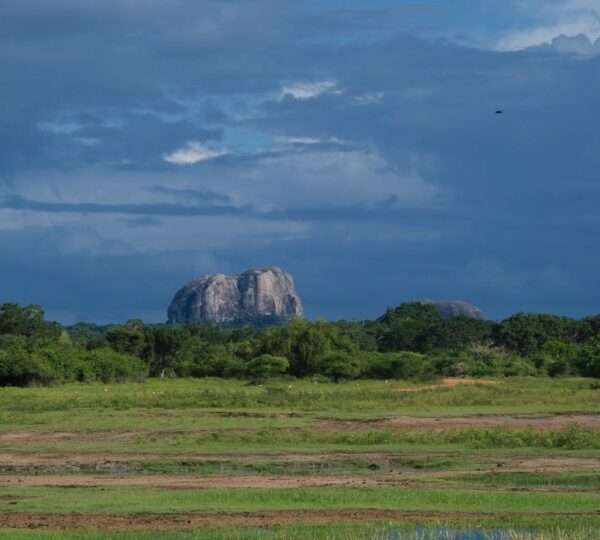 Yala national park a