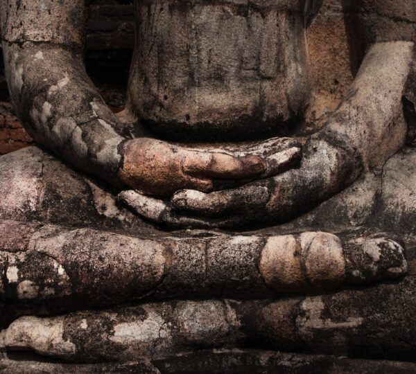 Samadhi Mudra