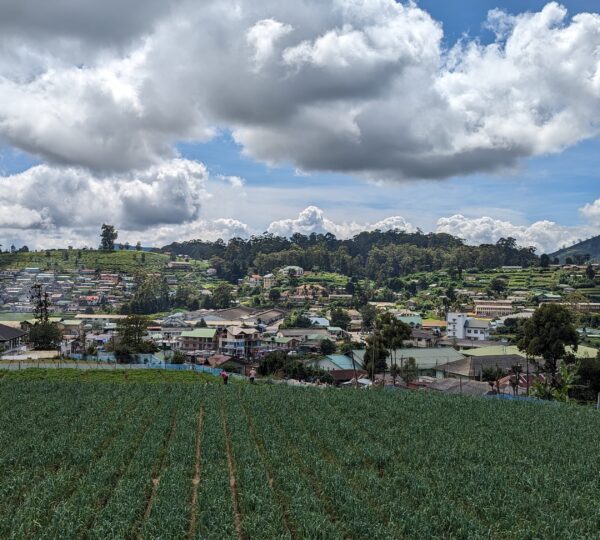 Nuwara Eliya