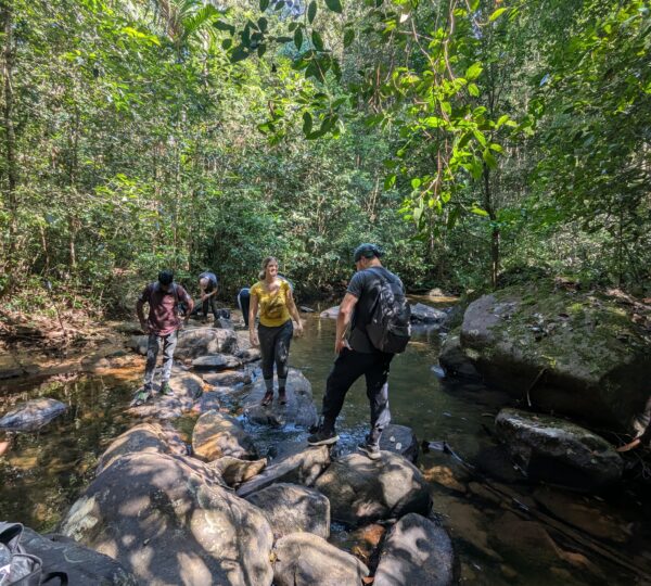 Sinharaja Rainforest