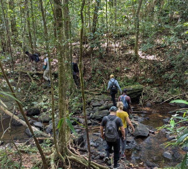 Sinharaja rainforest
