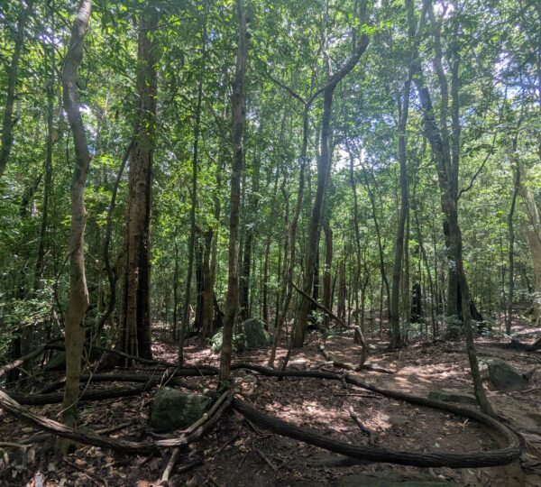 Ritigala Strict Natural Reserve