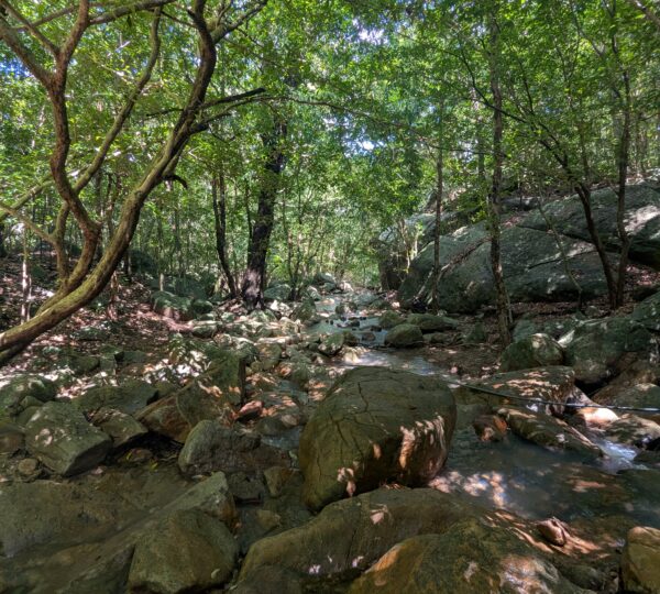 Ritigala Strict Natural Reserve