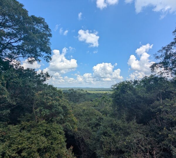 Ritigala Strict Natural Reserve