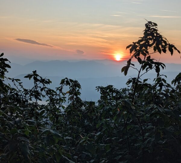 miracle sunrise