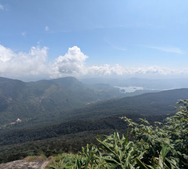 In the heaven
