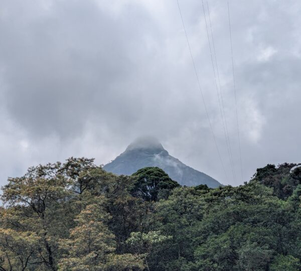 heaven top of Sri Pada