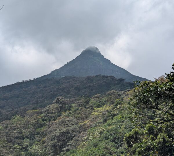 Sri Pada mountain