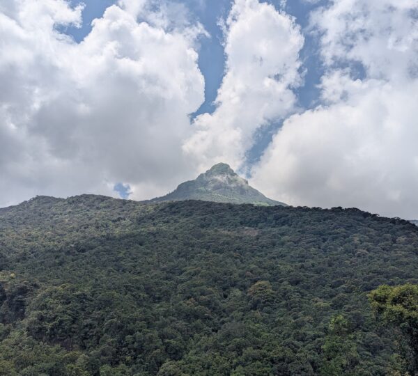 Sri Pada
