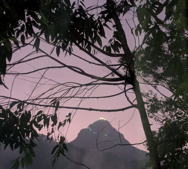 Sri pada