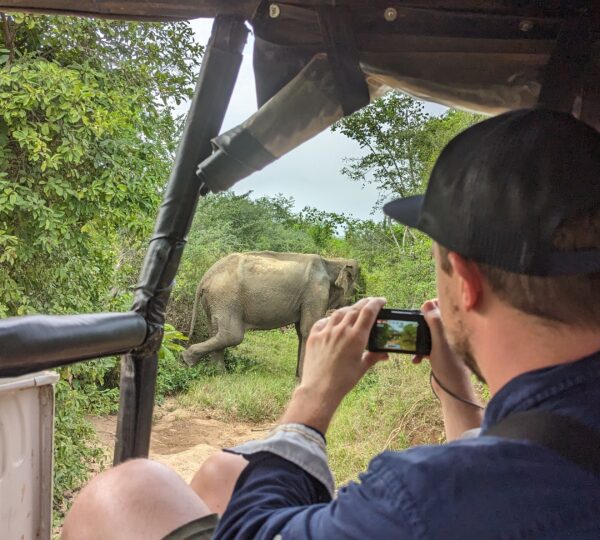 Wildlife in udawalawa
