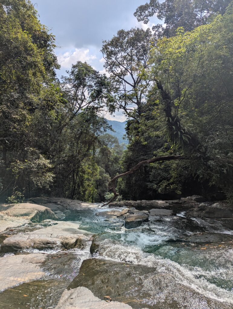 Sinharaja Rainforest: Sri Lanka’s Last Great Tropical Wilderness