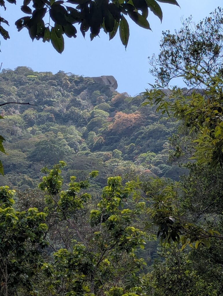 Ritigala Archaeological Site & Strict Natural Reserve