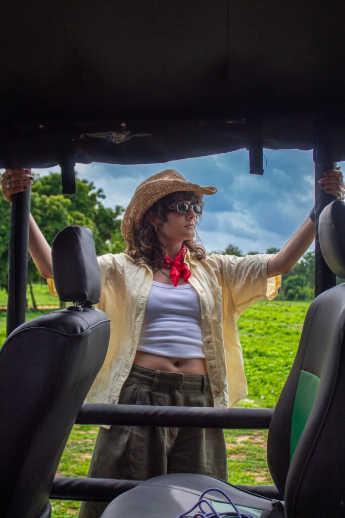 safari